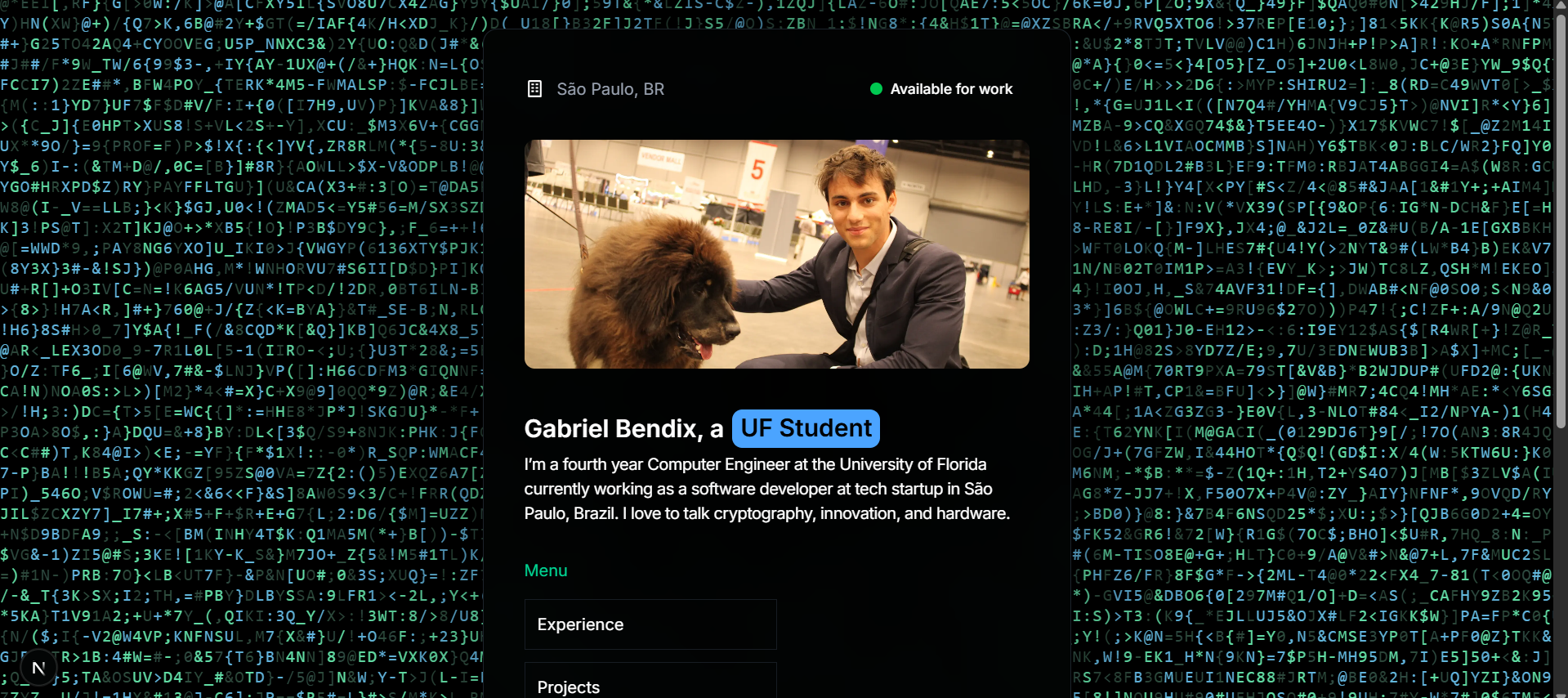 Portfolio Website